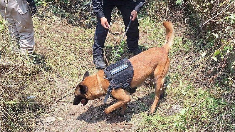 Desaparecidos Presa de Tarango